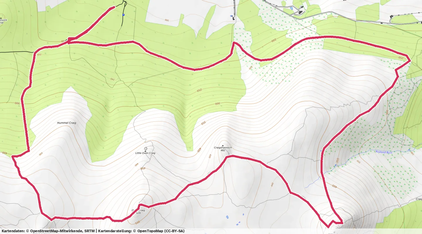 Route map for 🏃‍♂️ ⏰01:33:05 📏13.09km ⏱️7:06/km 🛫500m 🧁1,715Kcal