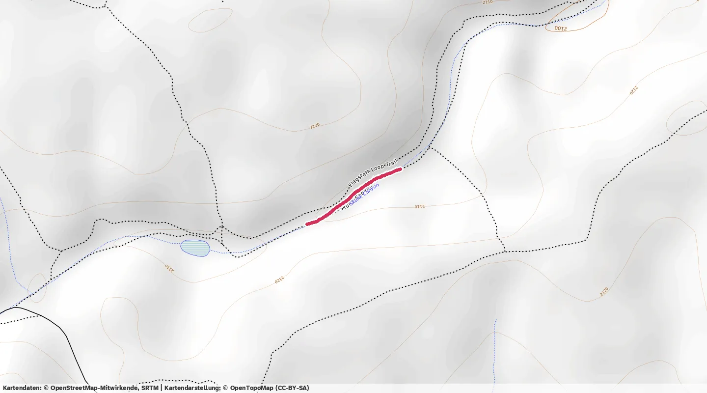 Route map for 🏃‍♂️ ⏰00:02:17 📏0.23km ⏱️10:08/km 🛫5m ❤️‍🔥131bpm 🧁29Kcal