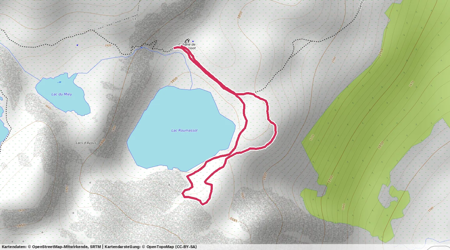 Route map for 🏃‍♂️ ⏰00:17:13 📏1.44km ⏱️11:56/km 🛫36m ❤️‍🔥162bpm 🧁196Kcal